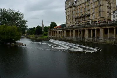 DSC_2563 (Large).JPG